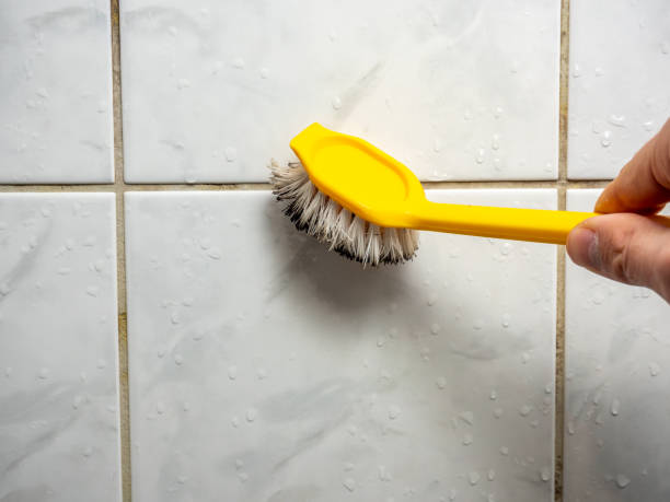 Best Commercial Mold Removal  in Mansfield, MO