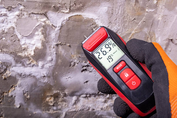 Best Mold Testing  in Mansfield, MO