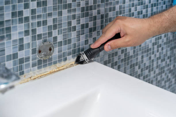 Best Mold Remediation Experts  in Mansfield, MO