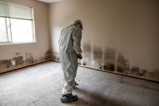 Crawl Space Mold Removal in Mansfield, MO