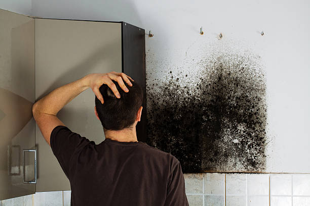 Water Damage Restoration in Mansfield, MO