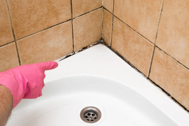 Best Emergency Mold Removal  in Mansfield, MO